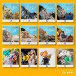 Pack 125 Artes editáveis pet shop Photoshop+Legendas - Imagem 9