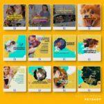 Pack 125 Artes editáveis pet shop Photoshop+Legendas - Imagem 7