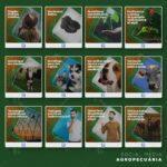 Pack 150 Artes editáveis agropecuária Photoshop +legendas - Imagem 7