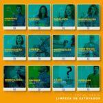 Pack 150 Artes Editáveis Higienização de estofados Photoshop +Legendas - Imagem 5