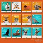Pack 150 Artes editáveis petshop Corel Draw +bônus - Imagem 9