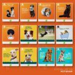 Pack 150 Artes editáveis petshop Corel Draw +bônus - Imagem 8