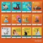 Pack 150 Artes editáveis petshop Corel Draw +bônus - Imagem 7