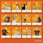 Pack 150 Artes editáveis petshop Corel Draw +bônus - Imagem 4