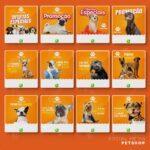 Pack 150 Artes editáveis petshop Corel Draw +bônus - Imagem 3
