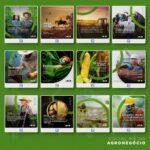 Pack 200 Artes editáveis agronegócio Photoshop +Legendas - Imagem 9