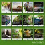 Pack 200 Artes editáveis agronegócio Photoshop +Legendas - Imagem 6