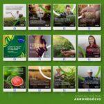 Pack 200 Artes editáveis agronegócio Photoshop +Legendas - Imagem 4