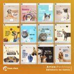 Pack 80 Artes editáveis no canva - Petshop +Stories - Imagem 9