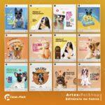 Pack 80 Artes editáveis no canva - Petshop +Stories - Imagem 4