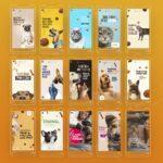 Pack 80 Artes editáveis no canva - Petshop +Stories - Imagem 5