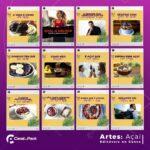 Pack 200 Artes editáveis no canva - Açaí +Legendas - Imagem 5