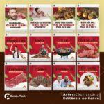 Pack 200 Artes editáveis no canva - Churrascaria + Legendas - Imagem 8