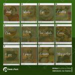 Pack 200 Artes editáveis no canva - Nutricionista +legendas - Imagem 9