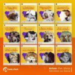 Pack 200 Artes editáveis no canva - Petshop +Legendas - Imagem 7