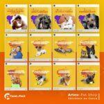 Pack 200 Artes editáveis no canva - Petshop +Legendas - Imagem 6