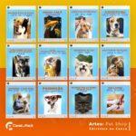 Pack 200 Artes editáveis no canva - Petshop +Legendas - Imagem 4