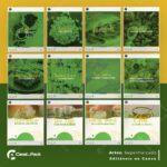 Pack 200 Artes editáveis no canva - Supermercado +Legendas - Imagem 4