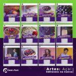 Pack 60 Artes editáveis no canva - Açaí +Legendas - Imagem 4