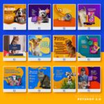 Pack 230 Artes editáveis petshop 2.0 - Photoshop psd - Imagem 6